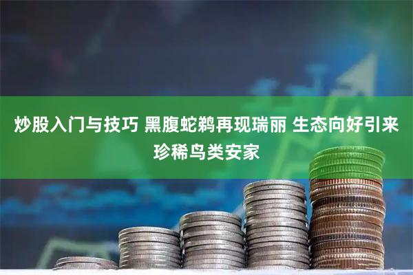 炒股入门与技巧 黑腹蛇鹈再现瑞丽 生态向好引来珍稀鸟类安家
