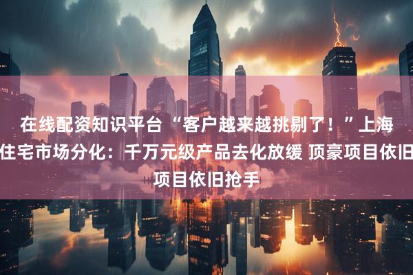 在线配资知识平台 “客户越来越挑剔了！”上海高端住宅市场分化：千万元级产品去化放缓 顶豪项目依旧抢手